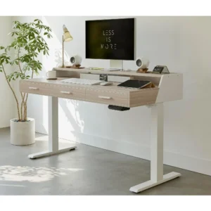 Electric Standing Desk with Drawers, 55x26 Inch Standing Desk Adjustable Height, Stand Up Desk with Monitor Shelf, Customized