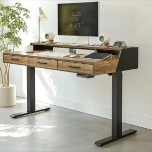 Electric Standing Desk, 48 x 24 Inches Height Adjustable Table, Ergonomic Home Office Furniture with Top Storage,Customized